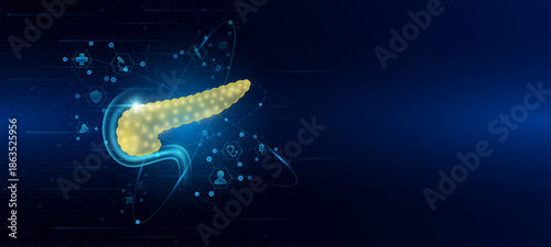Health care medical. Human pancreas organ hologram transparent in the ring line with icon digital medical technology. On dark blue background. Science banner vector.