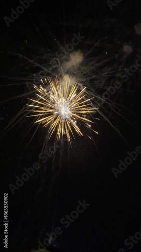 Fireworks displays celebrate New Year's, Christmas, anniversaries, and other important and special festivals at night. Slow motion