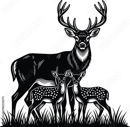 Deer family in nature, black and white wildlife illustration, stag and fawns on grass, forest animal sketch, vector art, peaceful scene