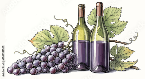 Vibrant Still Life of Red Wine Bottles and Grapes - Vineyard Harvest Illustration
