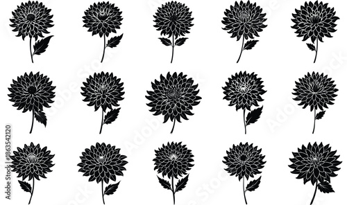 Floral bakground or wallpaper with tender flowers and leaves. Botanical foliage for wedding invitation or wall art. Vector illustration