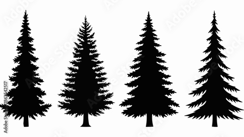 Four Silhouettes of Pine Trees on a White Background.