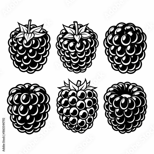 Set of Six Monochrome Raspberry and Blackberry Berries Illustrations. Vintage Black and White Graphic Design Elements for Food Labels, Logos, or Icons.