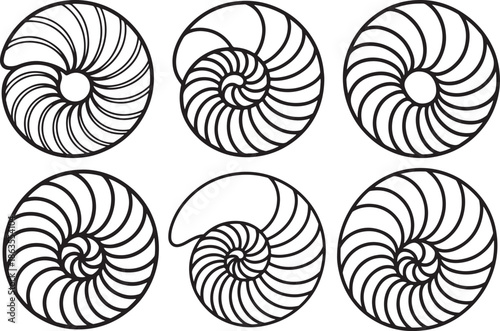 Set of Nautilus Shell Spiral Pattern Line Art, Coloring Book Page Line Art Drawing, Vector and Illustration