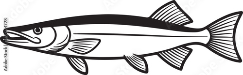 Pike Fish Line Art, Coloring Book Page Line Art Drawing, Vector and Illustration