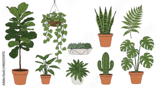 Decorative Houseplants Vector Set – Indoor Outdoor Home Apartment Greenery