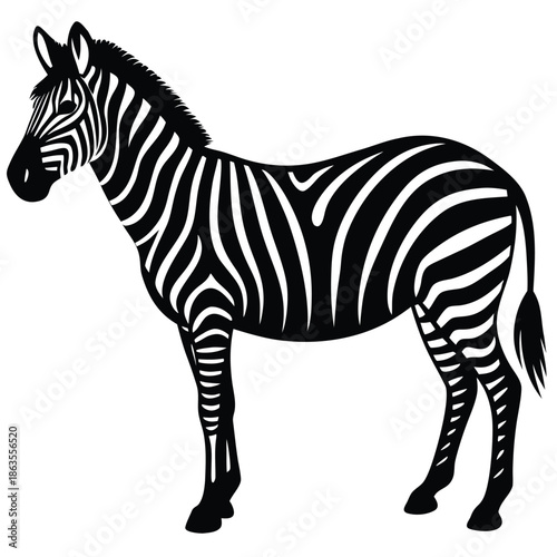 Zebra logo. Isolated zebra on white background
