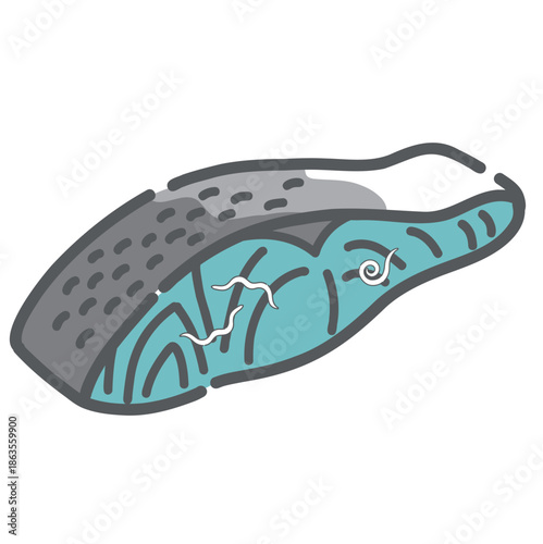 魚の切り身に寄生するアニサキスのイラスト
