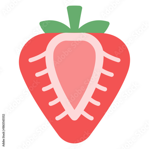 딸기 단면 일러스트