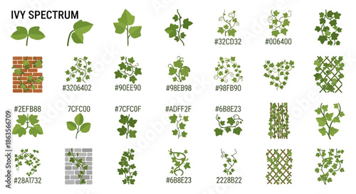 Botanical Spectrum of Ivy: A Visual Guide to Varied Ivy Forms and Color Codes for Designers