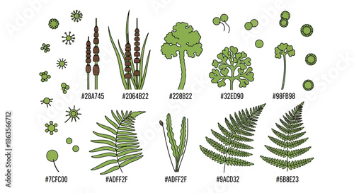 Botanical illustration showcasing diverse plant species in a linear style, featuring various