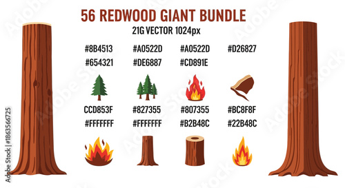 Cartoon redwood trees and natural elements for forest and camping designs