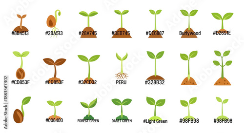Different stages of plant growth with different plant variations illustration