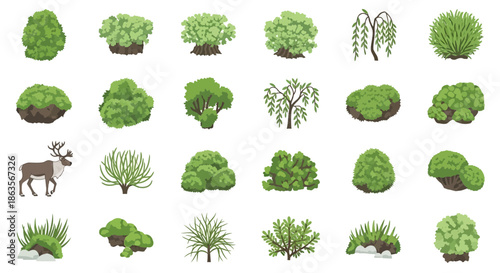 Diverse assortment of illustrated green trees, bushes, and plants on a white background