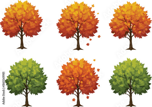 Autumn fall tree illustration, green foliage tree collection, seasonal maple tree leaves, realistic cartoon vector, changing season forest design