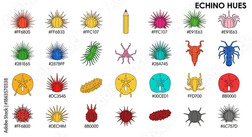 Echino Hues Variety: A colorful collection of sea urchins, sand dollars and marine life