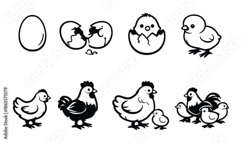 Evolution of chickens from egg to family in black and white illustration