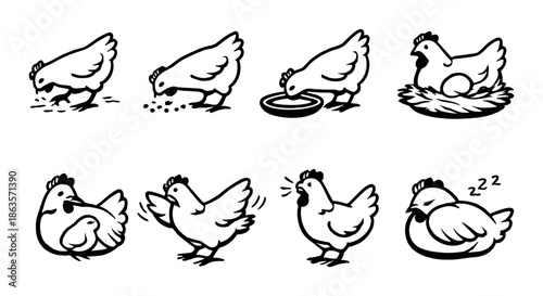 Cartoon chickens depicting eating, drinking, nesting, and sleeping in various poses