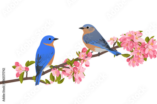 Two bluebirds perched on a blooming branch