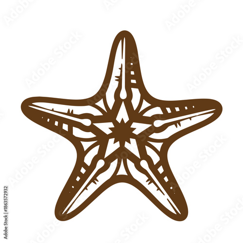 brown starfish illustration on white background  marine life symbol