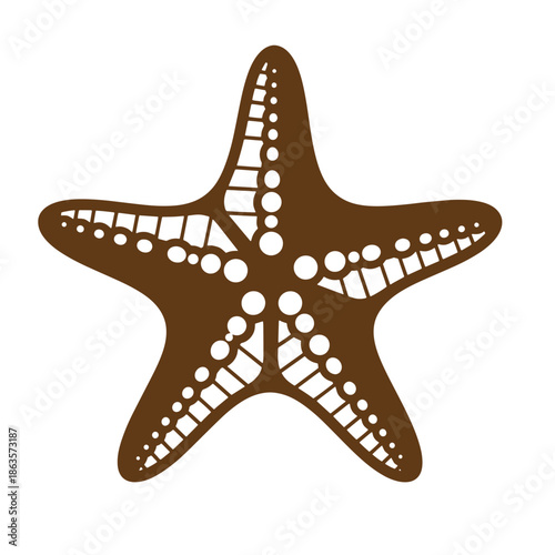 Brown starfish with white spots on white background  marine life illustration