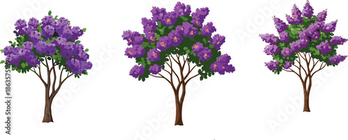 Beautiful purple jacaranda trees in full bloom, vibrant flowers with green leaves, spring nature scene, detailed CAD drawing illustration, 