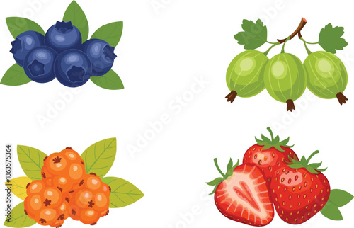 Berry fruit illustration set, strawberry blueberry gooseberry cloudberry vector artwork, colorful clipart design, healthy food drawing, cad style graphic