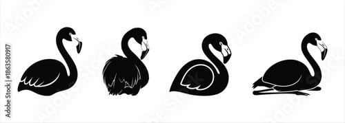 Four Black Silhouettes of Flamingos in Different Poses
