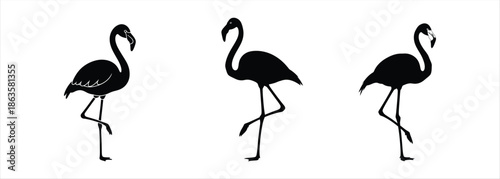 Three Elegant Silhouettes of Flamingos Standing on One Leg