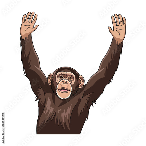Illustration of a chimpanzee with raised hands, front view