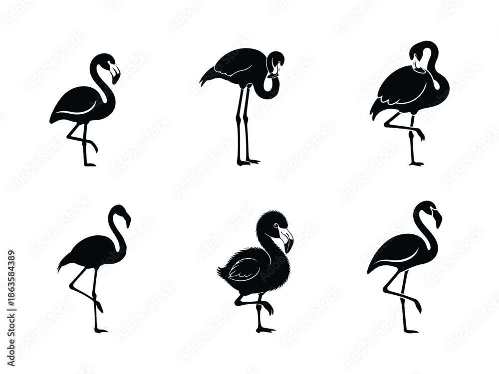 Obraz premium Elegant flamingo silhouettes in various poses capturing the serene beauty of tropical wading birds