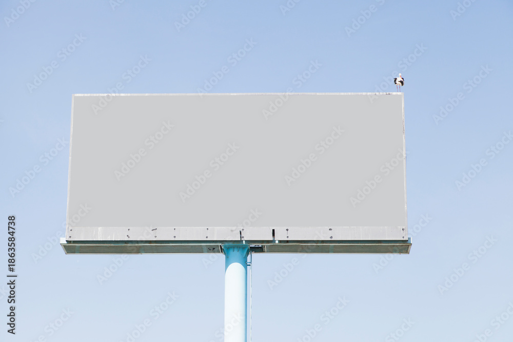 Obraz premium bird-perching-empty-billboard-advertisement-against-blue-sky