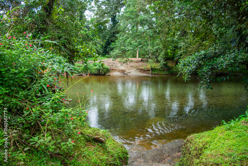 Bild auf Leinwand A tranquil river scene in San Cipriano, Colombia, surrounded by lush greenery and reflections on the water's surface