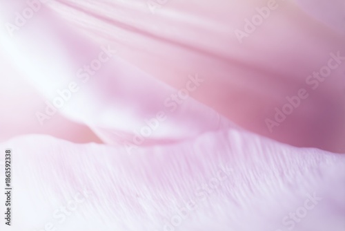 Soft pink petals blend seamlessly in gentle morning light, creating an ethereal atmosphere. Nature's beauty captivates with delicate hues and tranquil whispers