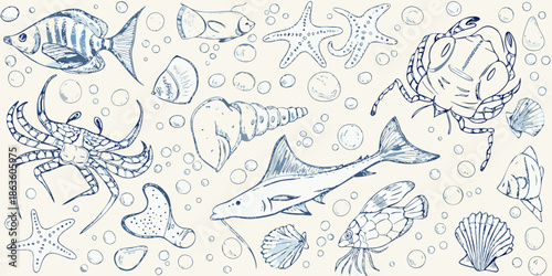 Sketch of marine life fish crab starfish octopus and seashell illustrations