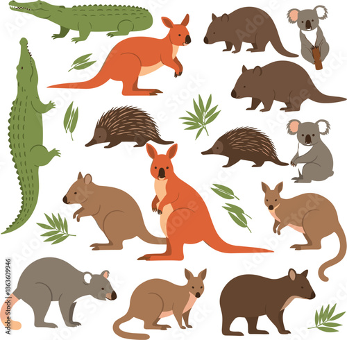Collection of Australian animals set featuring kangaroo koala crocodile wombat echidna and wallaby isolated on white background for nature design