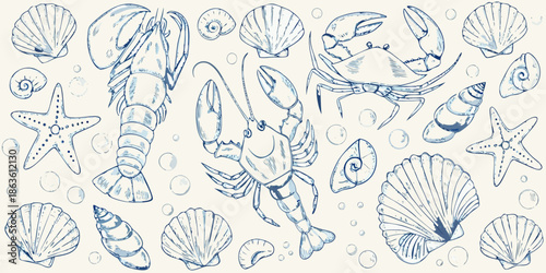 A vintage style illustration showcasing various marine life and seashells