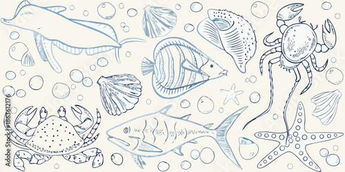 Sketch of various marine life fish crabs shells and other sea creatures