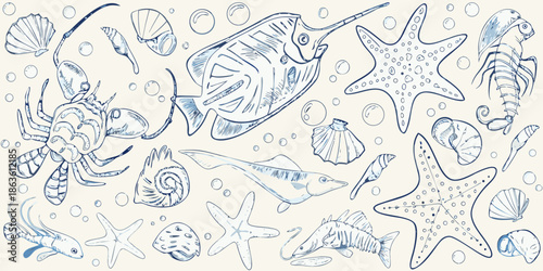 A delicate sketch of marine life featuring shells fish and a starfish