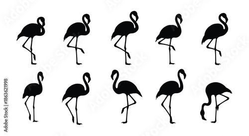 A collection of stylized black flamingo silhouettes in various walking poses