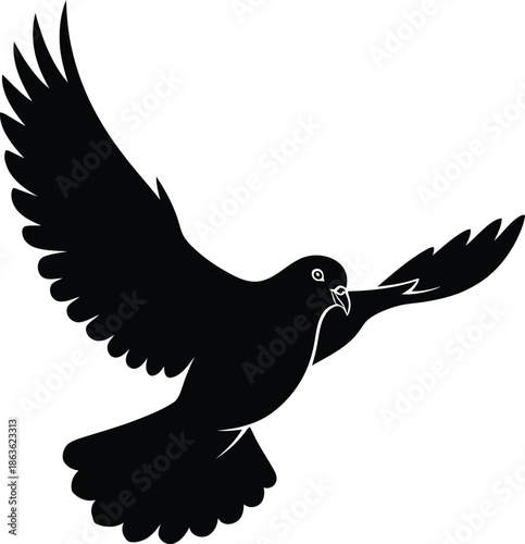 Silhouette of a bird in flight with outstretched wings