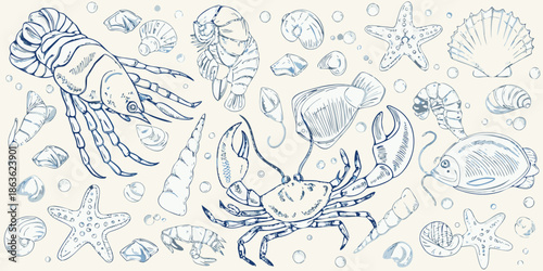 Detailed sketch of various marine life including crabs lobsters and seashells