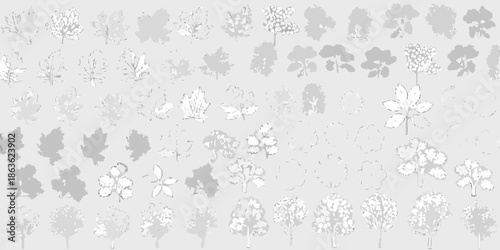 A grayscale collection of diverse tree and plant top views artistic design