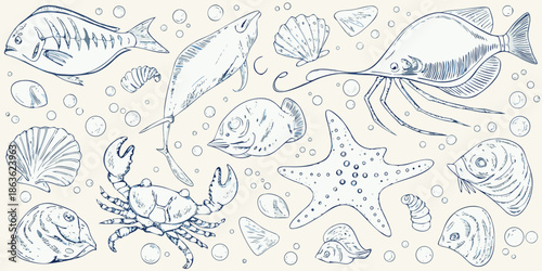 Vintage style illustration of various marine life and seashells on a beige background