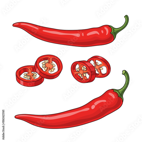 Illustration of red chili peppers whole and sliced with vibrant coloring