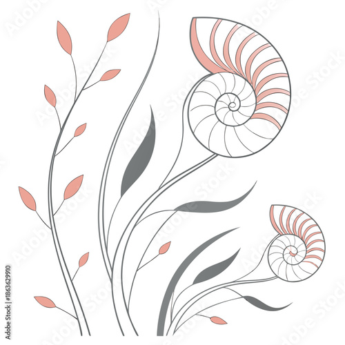 An illustration of nautilus shells and plants with a minimalist design