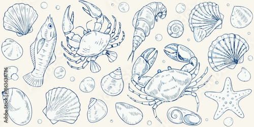 Vintage style illustration featuring various marine life and seashells