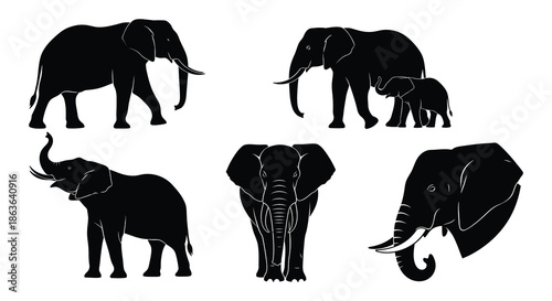 A collection of silhouettes depicting several elephants in various poses