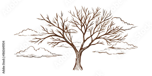 A solitary bare tree stands against a dark sky with subtle clouds