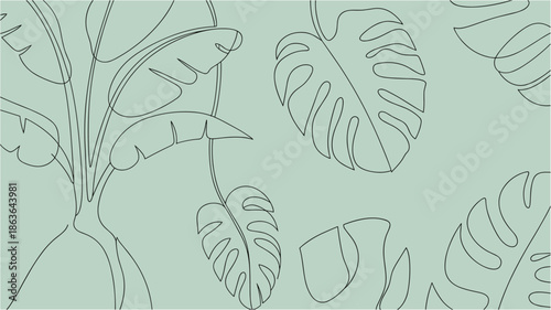 Tropical plant leaves outline on pastel green background simple